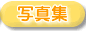 �ʐ^�W